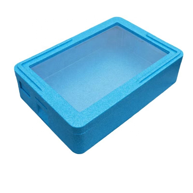 Контейнер-холодильник из EPP д – обзор и цена Food Storage In Cooler