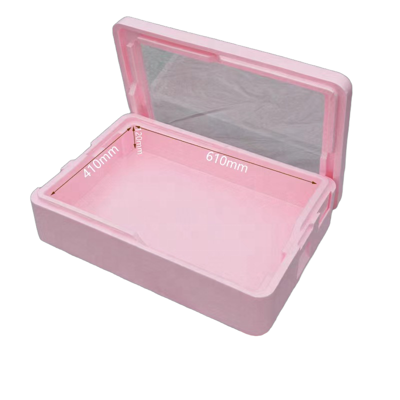 Контейнер-холодильник из EPP д – обзор и цена Food Storage In Cooler
