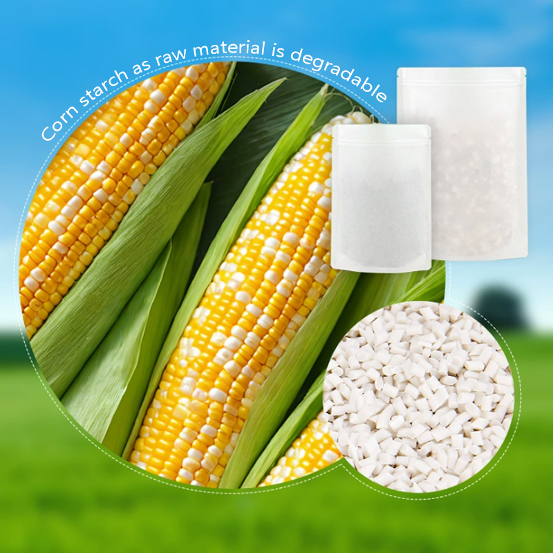 Индивидуальные разлагаемые пак – обзор и цена Food Storage Plant